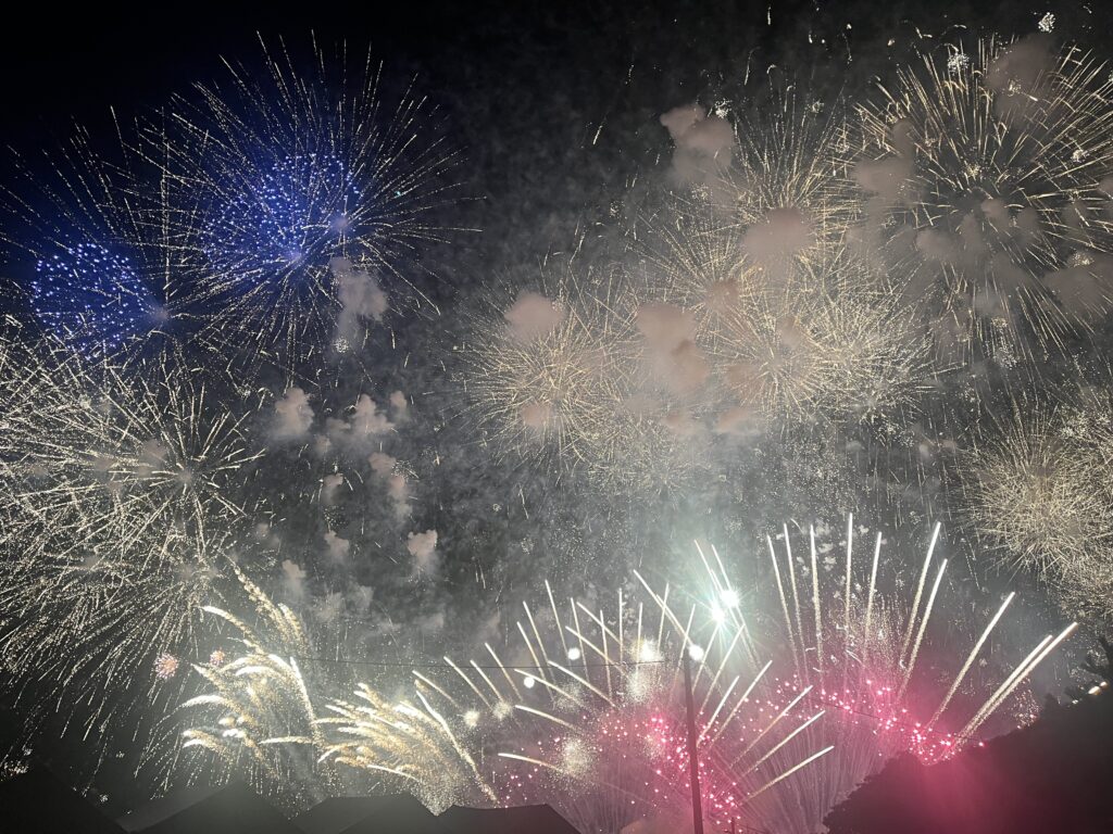 間近から見れました🙆