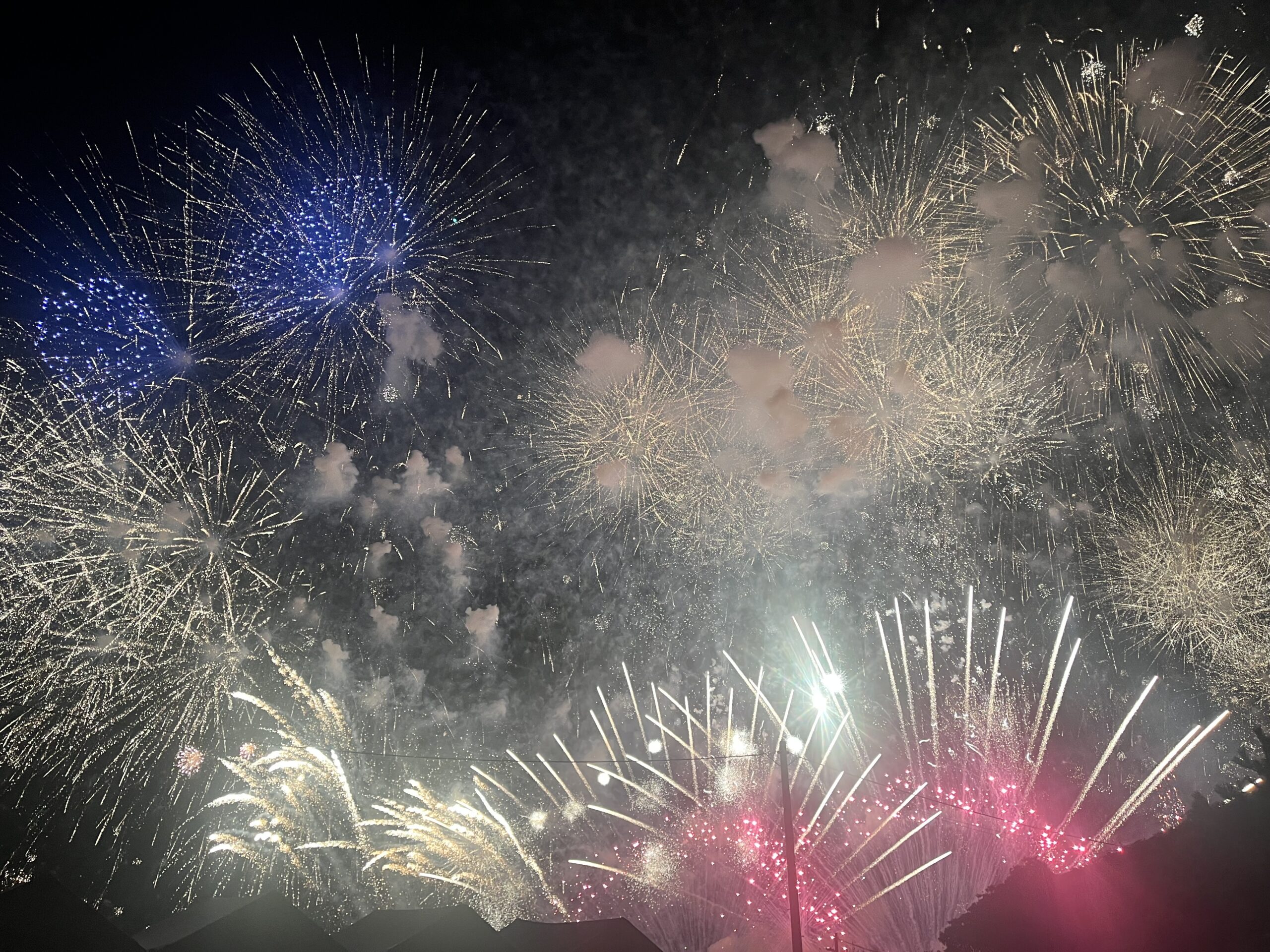 間近から見れました🙆